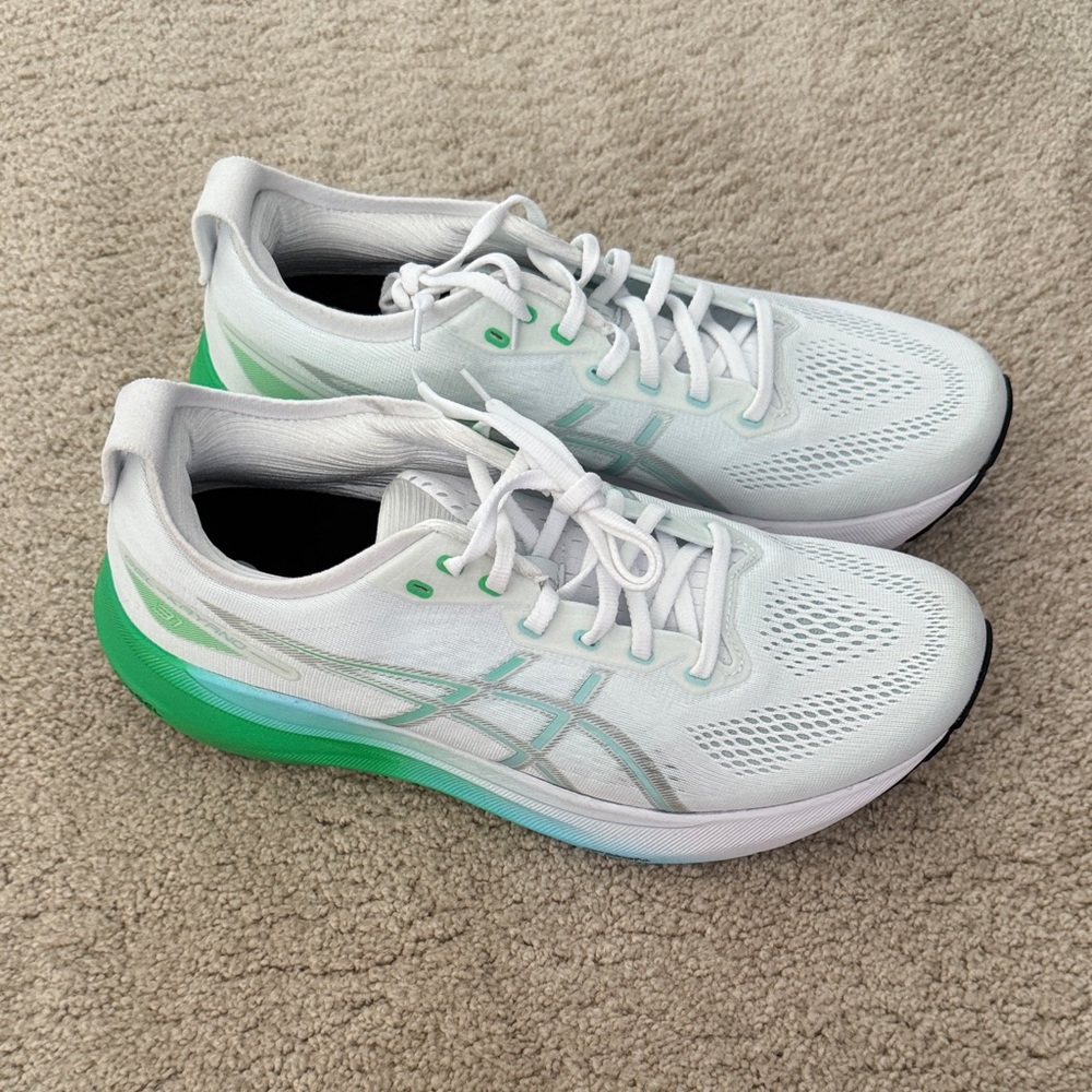 Asics Gel Kayano 31 New without Box  10.5/44.5